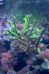 Killikus&reg; Fotographie